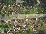 image of grave number 580043
